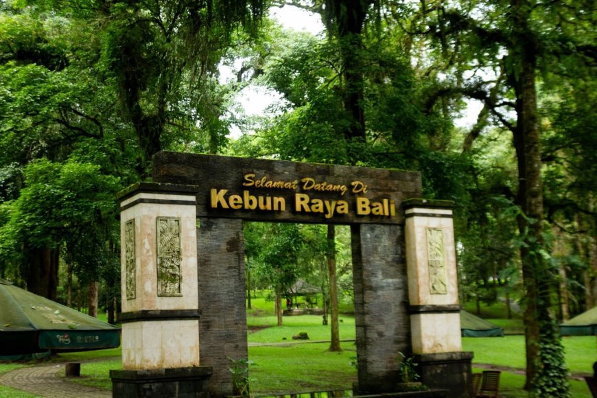 Menjelajah Kebun Raya Eka Karya: Destinasi Edukasi dan Rekreasi Keanekaragaman Flora Bali