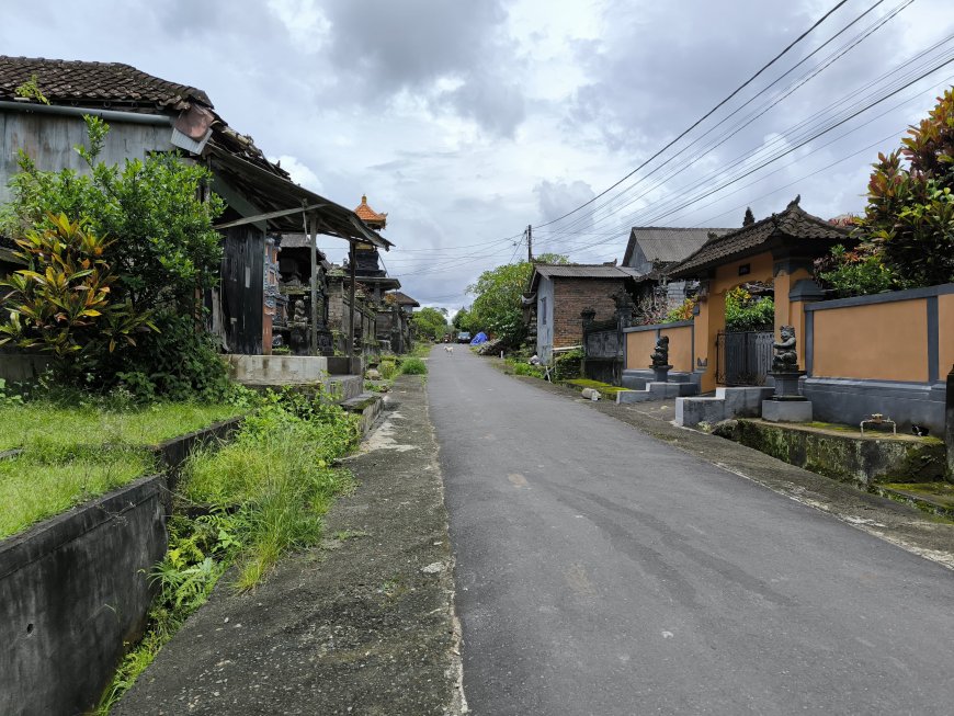 Desa Adat Sesandan: Destinasi Ekowisata dengan Kearifan Lokal Bali