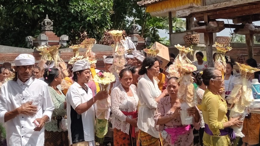 Mepalu Jerimpen: A Farmers' Gratitude Tradition in Perean Kangin Village, Tabanan