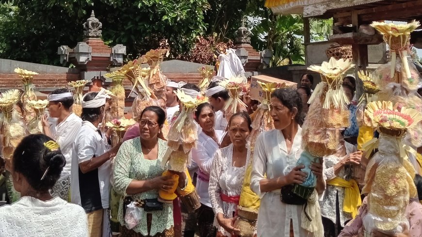 Mepalu Jerimpen: A Farmers' Gratitude Tradition in Perean Kangin Village, Tabanan