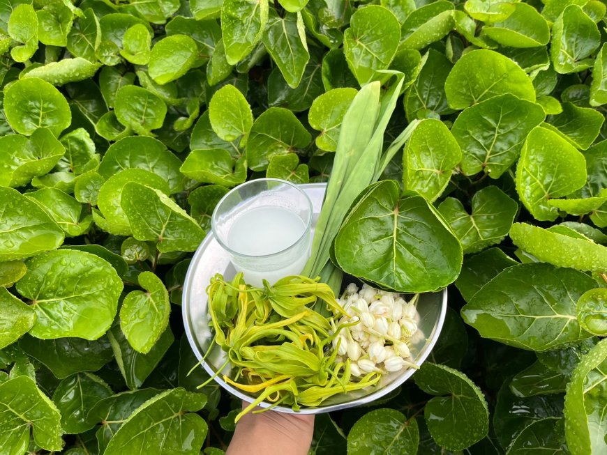 Cem-Ceman Oil in Lontar Taru Pramana: Traditional Care for Healthy and Shiny Hair