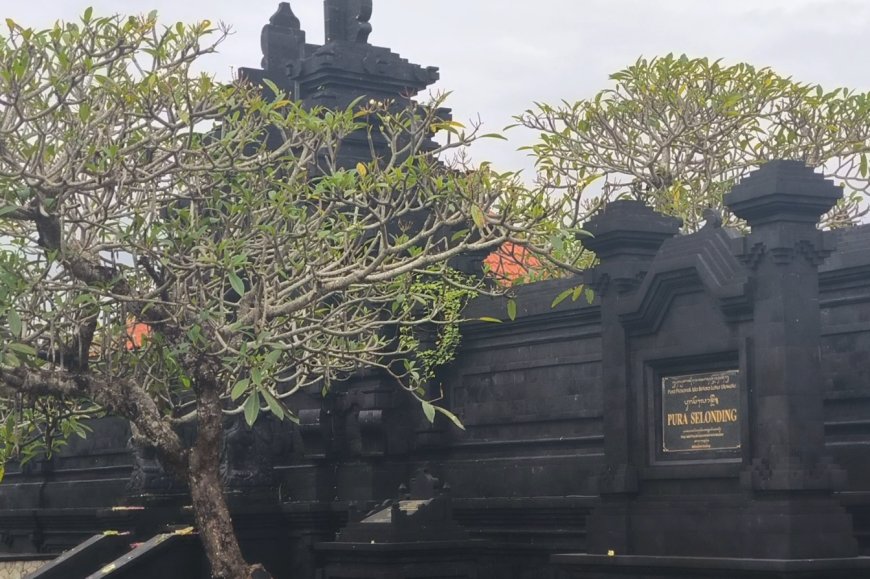 The History of Selonding Cave Temple: Traces of the Mesolithic Civilization in Bali