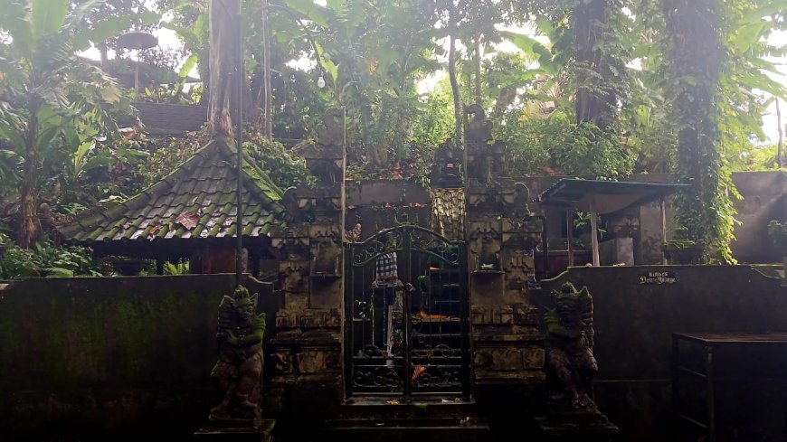 Mata Air Taman Beji Buah Muda: Mata Air yang Datang Ketika Pohon Mulai Berbuah