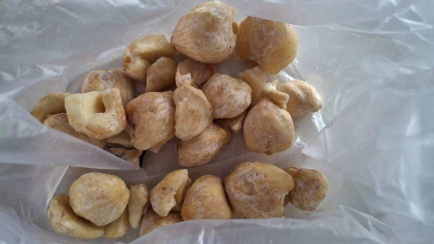 Powerful Medicinal Potion for Healing Tuju Disease (Rheumatism) in Balinese Traditional Medical Palm Leaf Manuscript