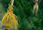 Penjor: Representasi Kosmis, Simbol Keharmonisan Alam dan Spiritualitas dalam Budaya Bali