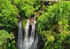 Bankiang Jaran Waterfall: The Harmony of Nature, Serenity, and The Beauty of Bali