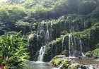 Banyu Wana Amertha: The Hidden Waterfall Streams Embraced by the Heart of Buleleng’s Forest