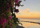 Pantai Pemutih: Tebing Batu Menuju Panggung Samudra di Pecatu