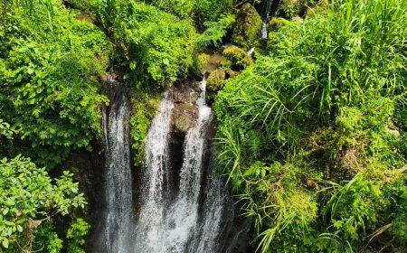 Bankiang Jaran Waterfall: Harmoni Alam, Kesunyian, dan Keindahan Bali