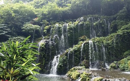 Banyu Wana Amertha: Aliran Air Terjun Rahasia yang Menyatu di Hati Hutan Buleleng
