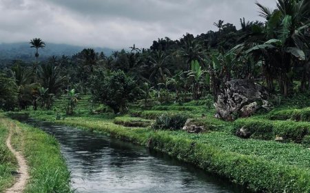Tracing the Flow of Wonders at Babahan Crystal Water: The Charm of a Clear River Embraced by Tabanan’s Rice Fields