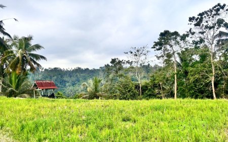 Subak Pulagan: UNESCO World Heritage Site in Tampaksiring