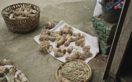 Bamboo Family Cultural Heritage: Mundeh Village's Unique Crafts Driving Local Economy