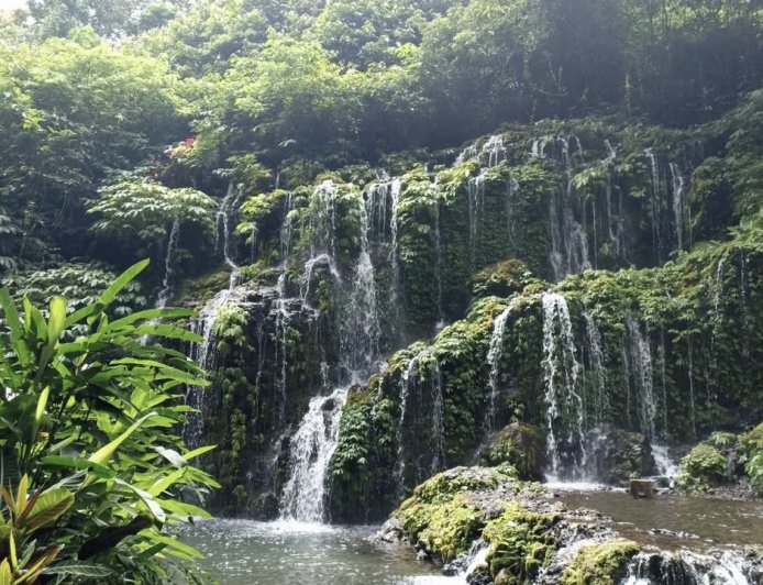 Banyu Wana Amertha: Aliran Air Terjun Rahasia yang Menyatu di Hati Hutan Buleleng