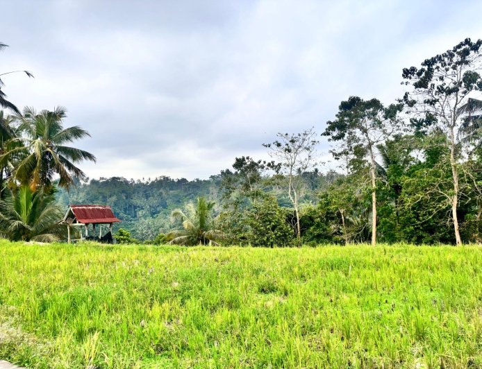 Subak Pulagan: UNESCO World Heritage Site in Tampaksiring