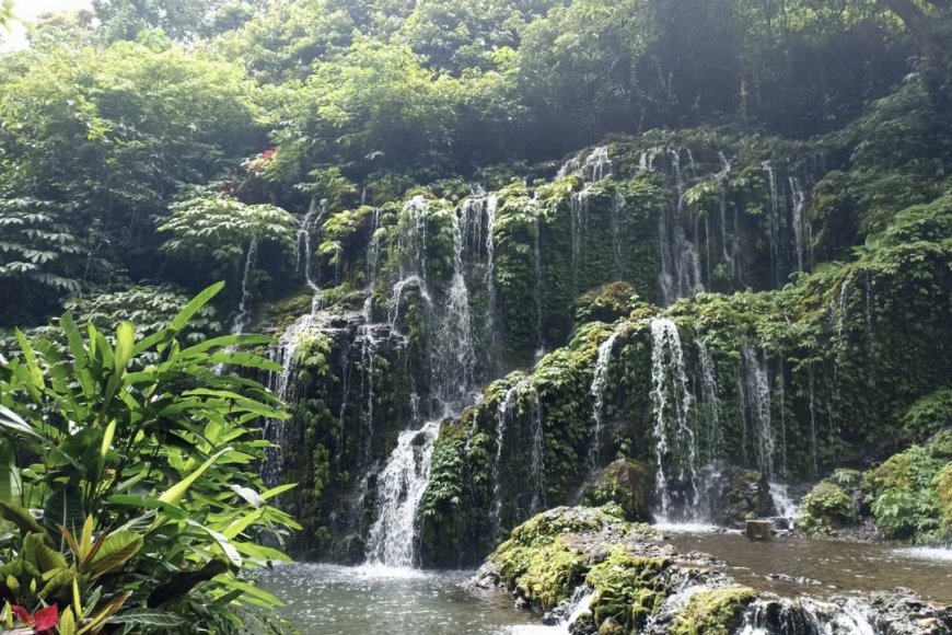 Banyu Wana Amertha: The Hidden Waterfall Streams Embraced by the Heart of Buleleng’s Forest