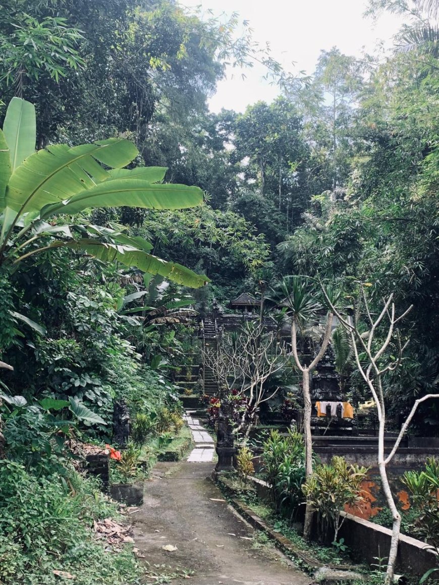 Unveiling the Bamboo Grove, Finding Serenity at Beji Meninting Temple