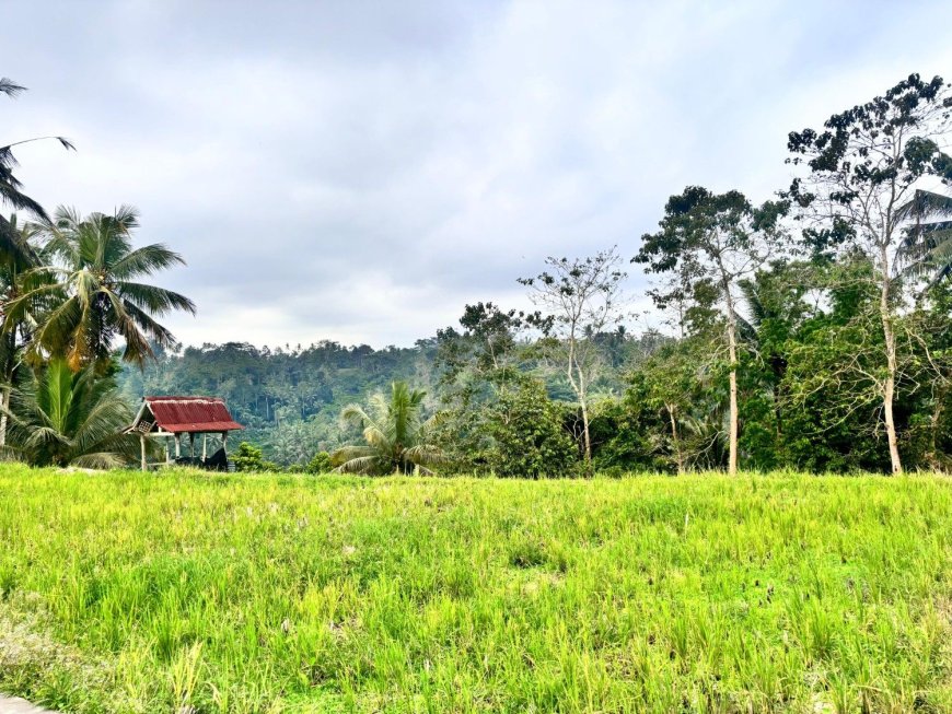 Subak Pulagan: UNESCO World Heritage Site in Tampaksiring