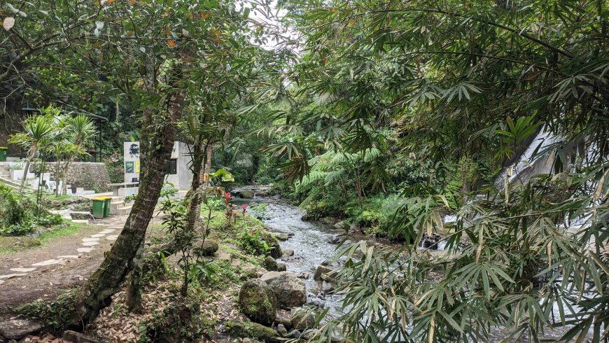 Campuhan Antapan Waterfall The Hidden Beauty of Baturiti That's Just a Short Stroll Away