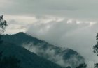 Adventure at Mount Pohen: Harmony of Forests, Mist, and an Enchanting Peak