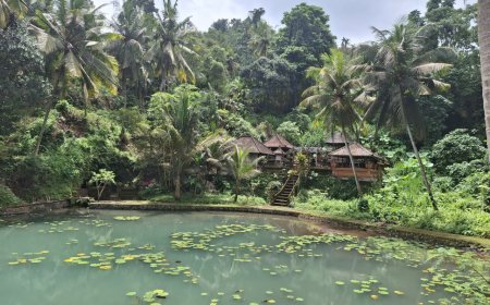 Flowing from Subak to Natural Spring: Bukit Jangkrik Natural Water Swim, a Hidden Oasis in the Heart of Gianyar’s Nature