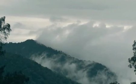 Adventure at Mount Pohen: Harmony of Forests, Mist, and an Enchanting Peak