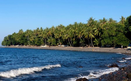 Palisan Beach: The Charm of Sunset Amid Rocks and Coconut Trees