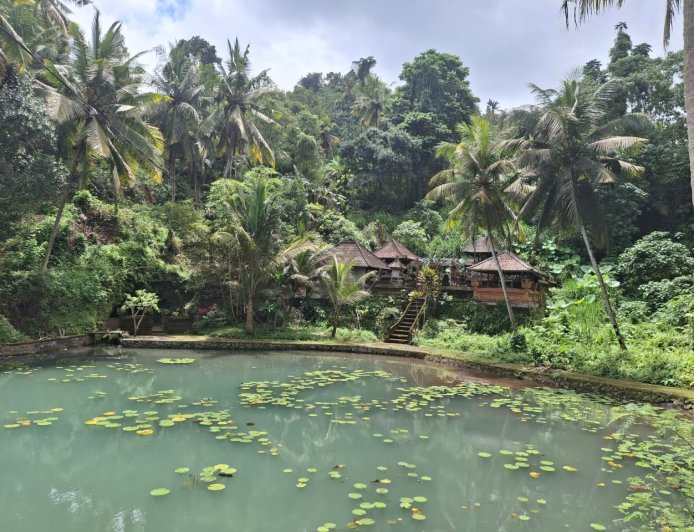 Flowing from Subak to Natural Spring: Bukit Jangkrik Natural Water Swim, a Hidden Oasis in the Heart of Gianyar’s Nature