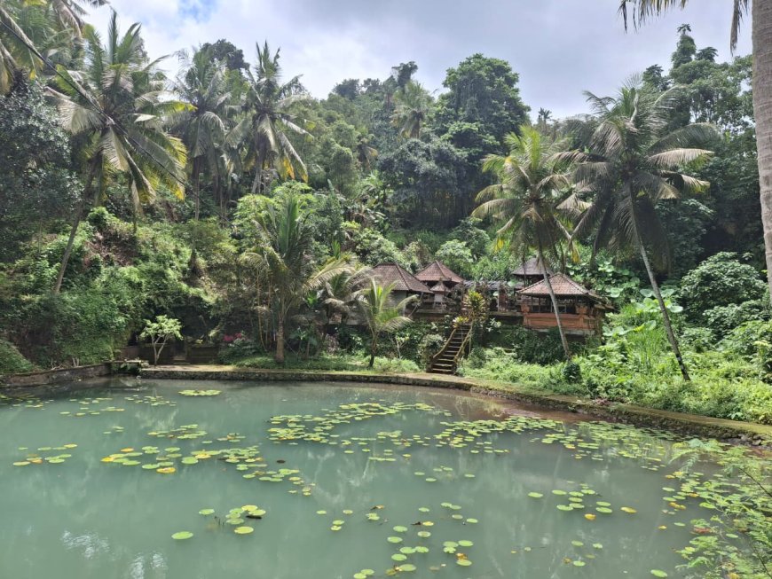 Flowing from Subak to Natural Spring: Bukit Jangkrik Natural Water Swim, a Hidden Oasis in the Heart of Gianyar’s Nature