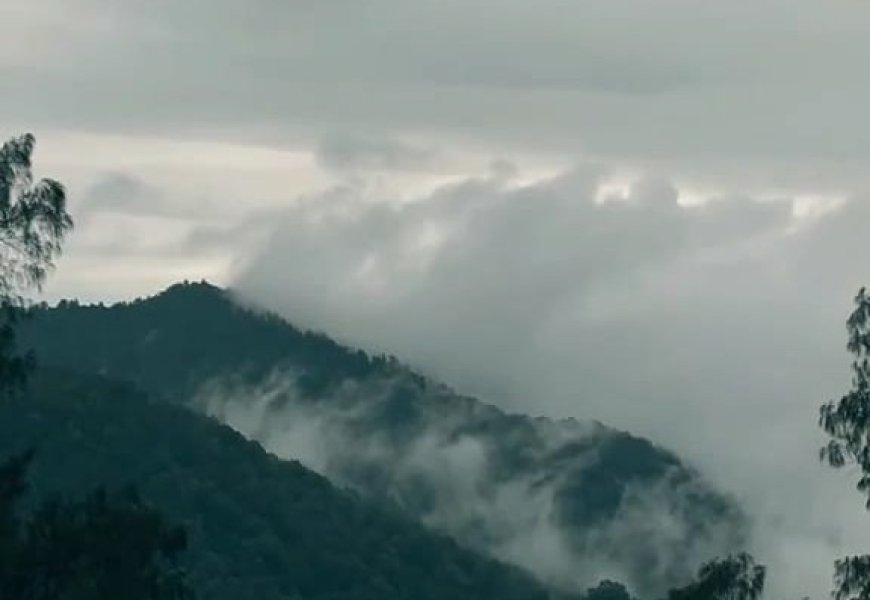 Petualangan di Gunung Pohen: Harmoni Hutan, Kabut, dan Puncak yang Menawan