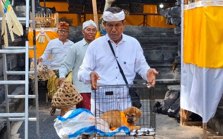 Tracing the Mapepada Ritual at Pura Taman Saren Kangin: Guiding Animal Spirits to a Higher Realm