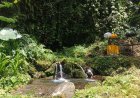 Seeking Purity and Taksu at Tirta Geroh: A Little-Known Spiritual Destination