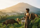 Kidung Rare Angon: A Shepherd Child’s Song with Great Meaning for Life
