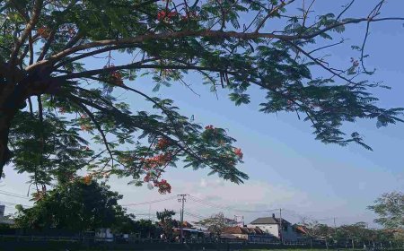 River of Calm: Taman Pancing River as a Natural Spot for Healing and Picnics in Bali
