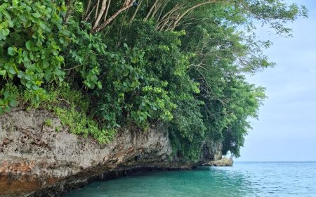 Padang Padang Beach, Uluwatu: Unique Landscapes and the Development of Coastal Tourism in Bali