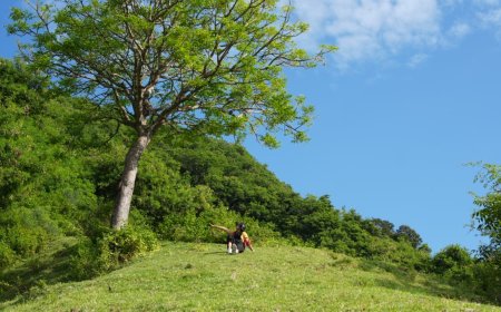 Guungan Hill: The Harmony of Hills and Sea in Eastern Bali