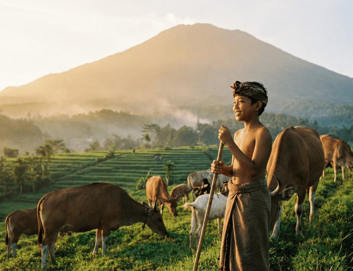 Kidung Rare Angon: A Shepherd Child’s Song with Great Meaning for Life
