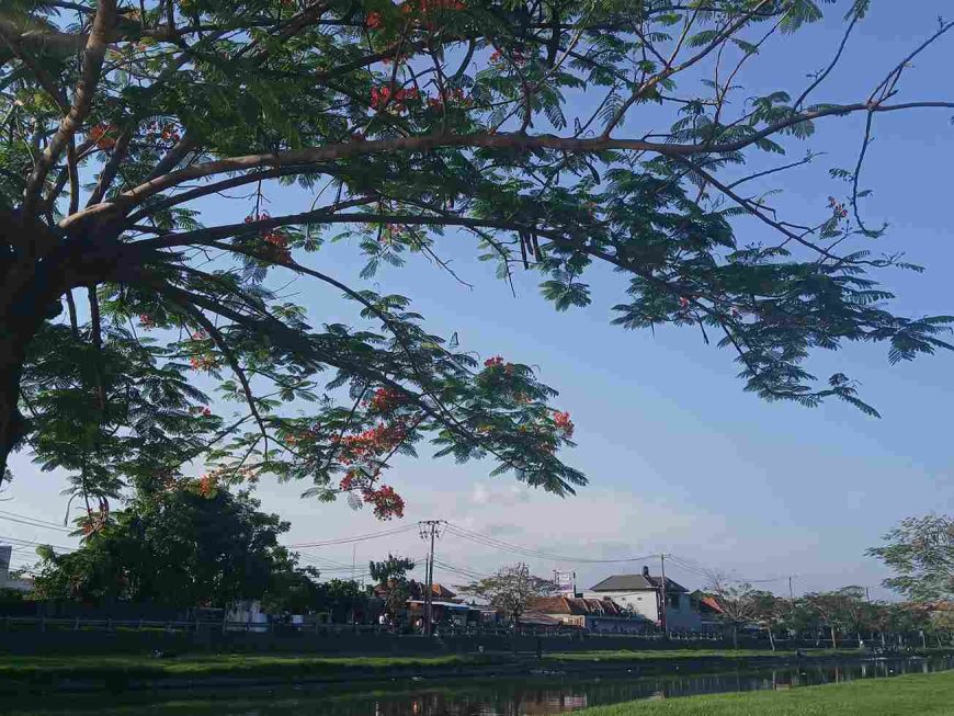 River of Calm: Taman Pancing River as a Natural Spot for Healing and Picnics in Bali