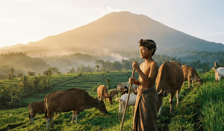 Kidung Rare Angon: Lagu Gembala Kecil dengan Makna Besar bagi Kehidupan