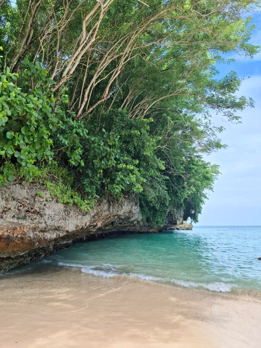 Pantai Padang Padang Uluwatu: Keunikan Lanskap dan Perkembangan Wisata Pesisir Bali