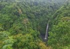 Air Terjun Kapas: Tirai Putih Nan Anggun di Lembah Buleleng