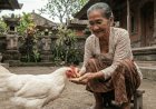Awaiting the Eggs, Accepting the Unhatched: The Art of Patience and Open-Heartedness in the Story of Dadong Dauh