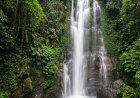 Munduk Forest: Lushness Behind the Mist as the Foundation of North Bali’s Ecological Resilience