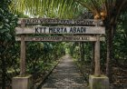 Desa Kakao Jembrana: Surga Tersembunyi di Bali Barat bagi Pecinta Cokelat