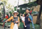 Bali Bird Park in Singapadu Village: Eye-Catching Bird Performances and the Revival of Tropical Nature