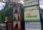 Desa Coklat Bali: Harmoni Kakao, Sawah, dan Eduwisata di Jantung Tabanan