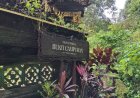 Between Rice Fields and Silence: The Hidden Charm of Bukit Campuhan Mini