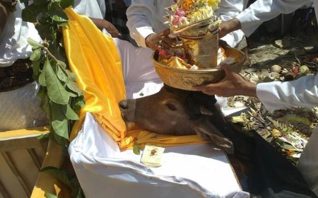Hidden Behind Time, Pakakalan as a Tradition Determining Sacred Days in Bali (Part 5)