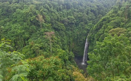Air Terjun Kapas: Tirai Putih Nan Anggun di Lembah Buleleng