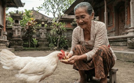 Awaiting the Eggs, Accepting the Unhatched: The Art of Patience and Open-Heartedness in the Story of Dadong Dauh